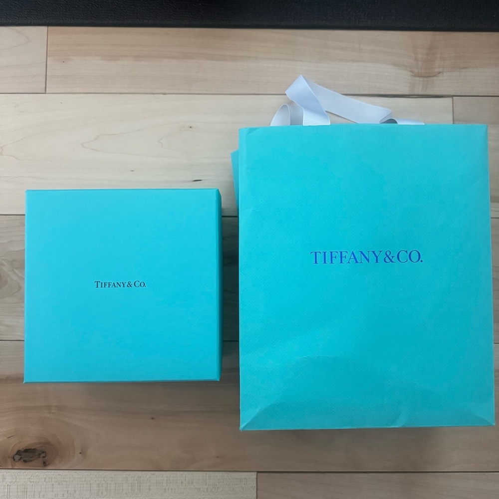 Tiffany & Co. Turquoise Bag and Box Duo